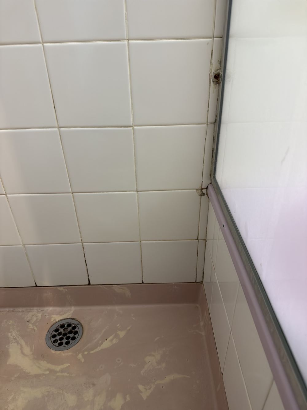 Shower grout and sealant breaking down, letting water behind the tiles, found during a pre-purchase inspection in Dandenong North